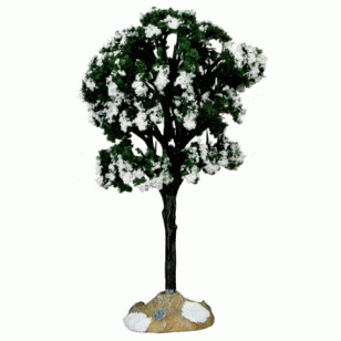 Balsam Fir Tree, Small